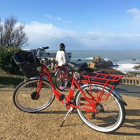 Apartment Just Like - Private Parking - Free E-bikes - Welcome Breakfast *
